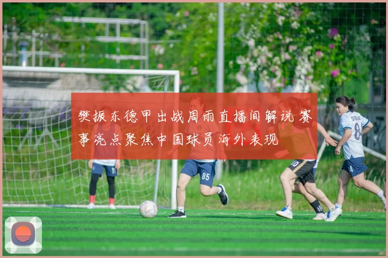 樊振东德甲出战周雨直播间解说 赛事亮点聚焦中国球员海外表现