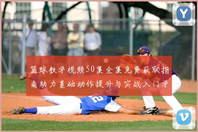 篮球教学视频50集全集免费获取指南助力基础动作提升与实战入门学习