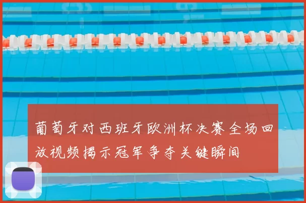 葡萄牙对西班牙欧洲杯决赛全场回放视频揭示冠军争夺关键瞬间