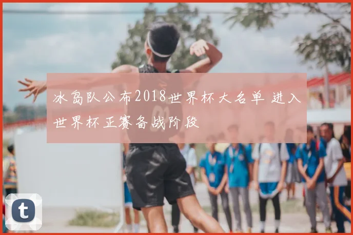 冰岛队公布2018世界杯大名单 进入世界杯正赛备战阶段