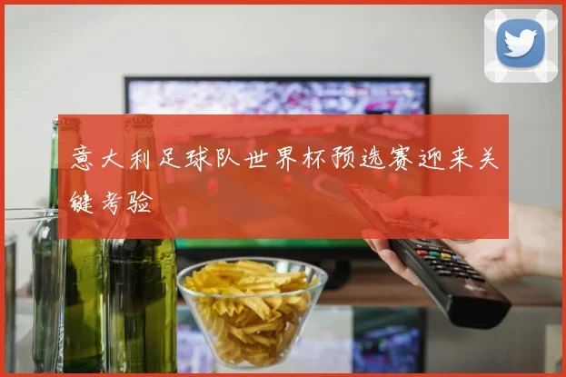 意大利足球队世界杯预选赛迎来关键考验