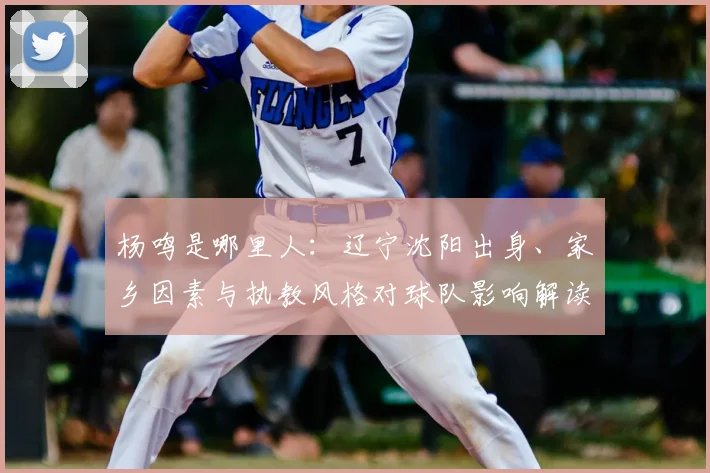 杨鸣是哪里人：辽宁沈阳出身、家乡因素与执教风格对球队影响解读