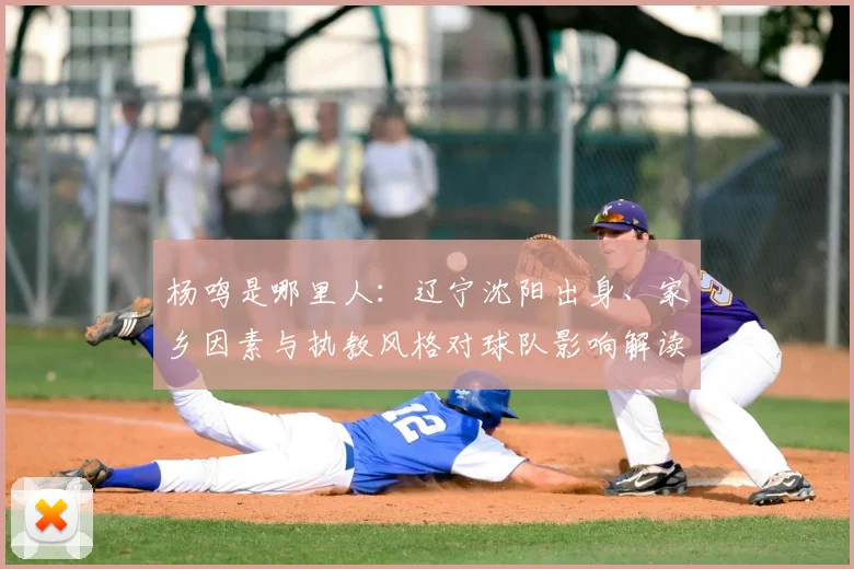 杨鸣是哪里人：辽宁沈阳出身、家乡因素与执教风格对球队影响解读
